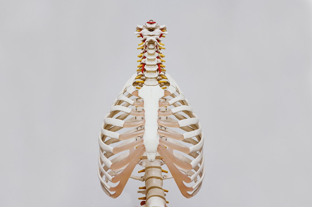 A professional photorealistic image of a detailed anatomical illustration or a subtle visual representation of the upper back and neck area (C7-T1 vertebrae) on a human figure, highlighting a 'dorsal hump' or 'widow's hump'. The image should subtly show an accumulation of fatty tissue or structural changes in the spine, leading to a visibly rounded or convex appearance. The focus is on the anatomical formation rather than a person in pain. Image must show ONLY what this section discusses: a bulge or deformity in the back of the neck, typically in the area of the lower cervical vertebrae and upper back (C7-T1), an accumulation of fatty tissue or structural changes in the spine, leading to a visibly rounded or convex appearance.. Photorealistic, high-quality photography style. איור אנטומי המציג 'גיבנת בעורף' או 'דורסל האמפ' באזור חוליות הצוואר התחתונות והגב העליון.