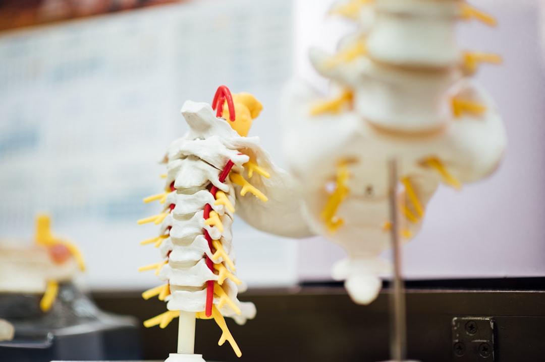A person standing tall and balanced, with an invisible line illustrating optimal spinal alignment and even weight distribution. The scene is clean and minimalist, focusing on the body's structure and balance. Image must show ONLY what this section discusses: Proper posture as more than just standing straight, describing how the body organizes itself in space, maintaining balance and optimal alignment of the spine and joints, with even weight distribution and efficient muscle work.. Photorealistic, high-quality photography style. אדם עומד יציב ומאוזן, קו דמיוני מדגיש יישור אופטימלי של עמוד השדרה וחלוקת משקל שווה.