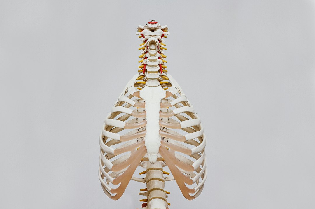מהי גיבנת בעורף ('גיבנת האלמנות') וכיצד היא נוצרת